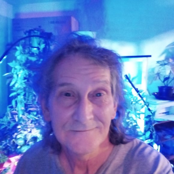 Meet your Posher, Daniel - Picture 2 of 2